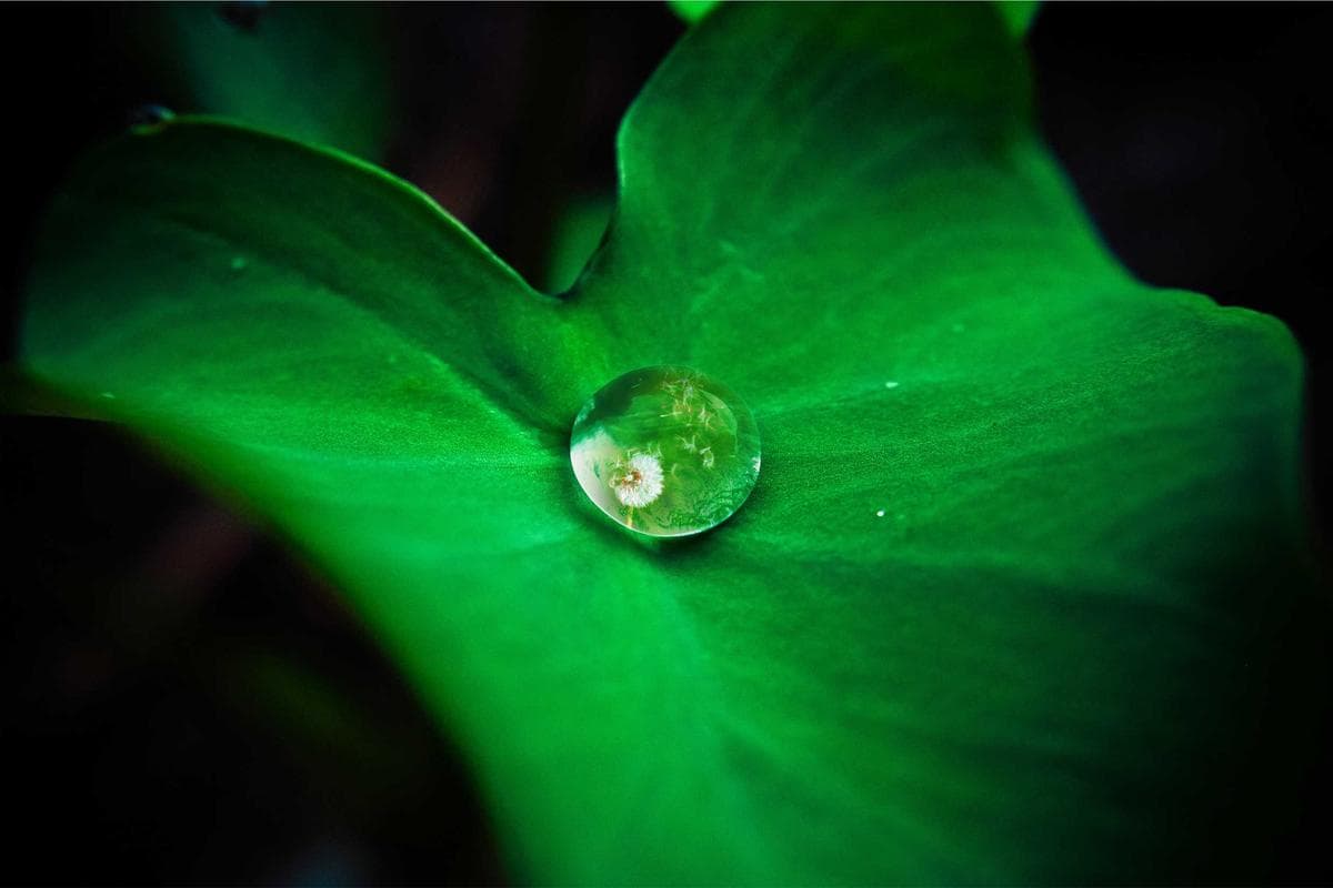 Orchid Residency — sample photo 3
